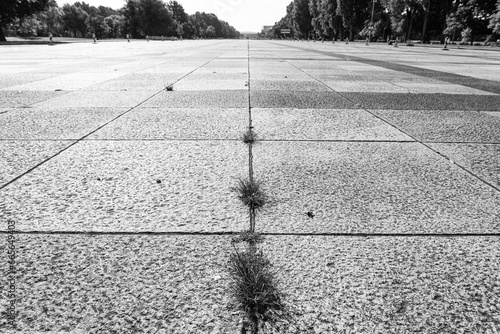 The famous "Grosse Strasse" (meaning: Big Road) in Nuremberg, Bavaria, Germany. Monochromatic view from the textured ground. Place used by the Nazi army for parades.