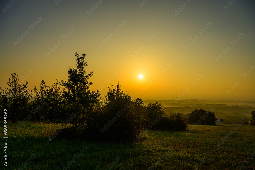 landscape, field, sunset, nature, grass, sun, tree, sunrise, meadow, autumn, morning, green, agriculture, country, farm, land landscape, field, sunset, nature, grass, sun, tree, sunrise, meadow, autumn, morning, green, agriculture, country, farm, land