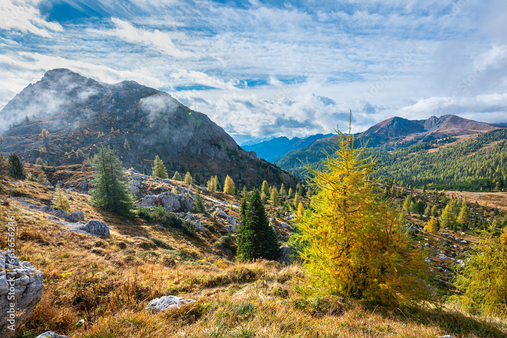 Alpine landscape with single larch trees in autumn foliage near the summit of the Valparola Pass in the Dolomites Mountains of Italy