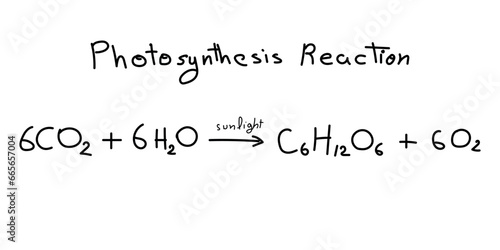 Photosynthesis equation. Carbon dioxide, water, sugars and oxygen. Chemical reaction with reactants and products. Chemical resources for teachers and students. Scientific doodle handwriting concept.