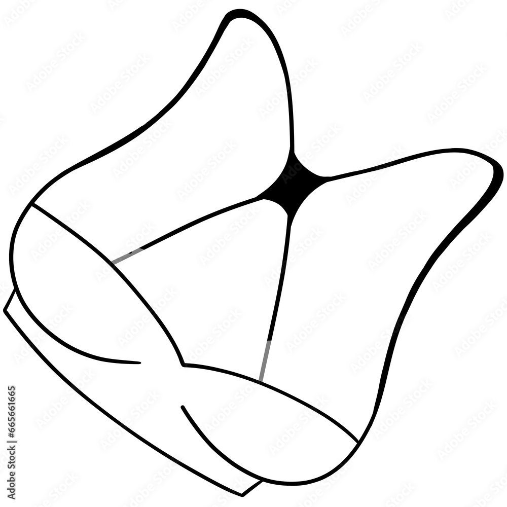 Obraz premium White bra