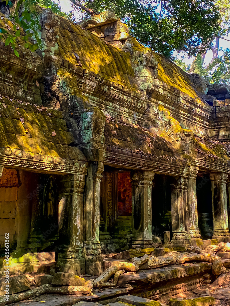 Ta Prohm, a mysterious temple of the Khmer civilization, located on the territory of Angkor in Cambodia Ta Prohm, a mysterious temple of the Khmer civilization, located on the territory of Angkor in Cambodia