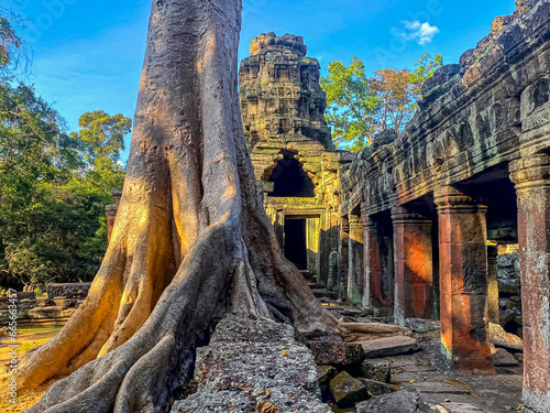 Ta Prohm, a mysterious temple of the Khmer civilization, located on the territory of Angkor in Cambodia photo