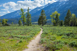 Hiking path below the Grand Teton mountains in Wyoming on a sunny day