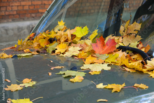 Autumn bright colorful leaves on a car