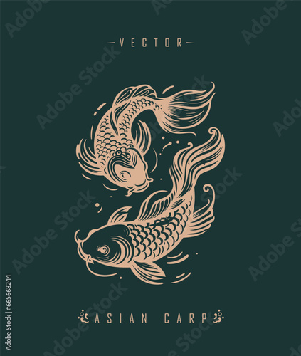 Chinese carp traditional art form	
