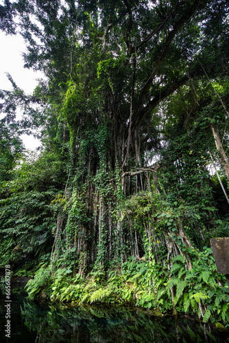 A small temple used for holy ablutions. Haunted and covered in moss, with offerings, beautiful statues and because. Sacred springs and holy water in Bali, Indonesia