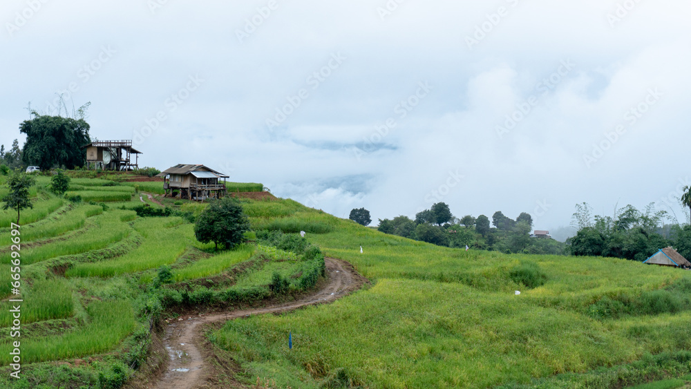 Beautiful step of rice terrace paddle field View at Chiangmai,Thailand.