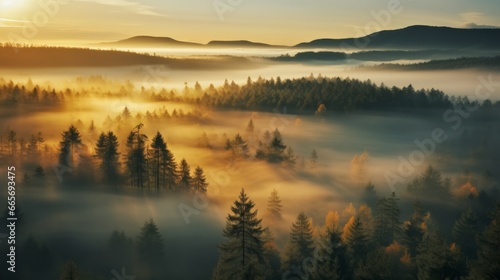 early morning sunrise foggy forrest, treetips standing out of fog autumn fall foggy fall sunrise drone shot © ND STOCK