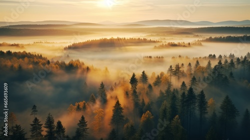 early morning sunrise foggy forrest  treetips standing out of fog autumn fall foggy fall sunrise drone shot