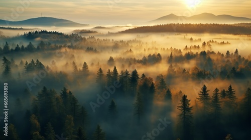 early morning sunrise foggy forrest  treetips standing out of fog autumn fall foggy fall sunrise drone shot