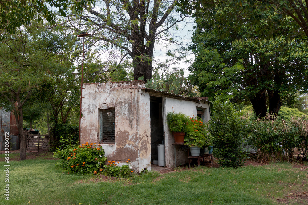 old abandoned house in the nature old abandoned house in the nature