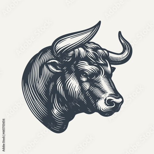 Bull head isolated on white. Vintage woodcut engraving style vector illustration isolated on white.