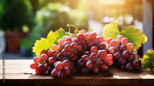 grapes in the vineyard