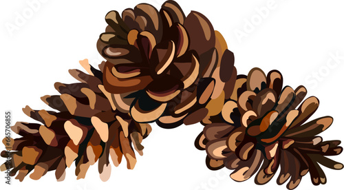 Brown pine cone with seeds. drawing of seasonal autumn pine cone . Autumn or fall, season, flora concept. vector. Eps 10