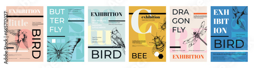 Bird posters. Art music festival invitation layout. Graphic book template or cover. Zoology museum. Sketch butterfly. Fly animal. Creative hipster banners set. Vector abstract design
