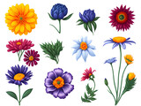 collection of flowers