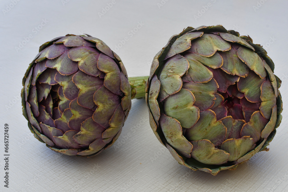 Obraz premium Jolis artichauts de Bretagne-France