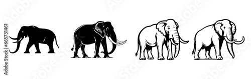 black and white illustration of elephant 