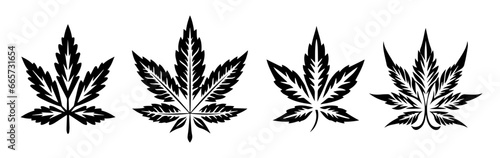 Black and white sketch of a marijuana leafs  photo