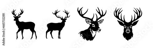 silhouette of deer © lahiru