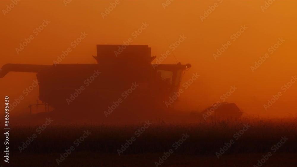 Combine harvester works in the field harvesting wheat in Clouds of dust are lit by the low sun. Combine harvester harvesting in the rays of sunset. Slow motion high quality, ProRes 422, 10 bit video Combine harvester works in the field harvesting wheat in Clouds of dust are lit by the low sun. Combine harvester harvesting in the rays of sunset. Slow motion high quality, ProRes 422, 10 bit video