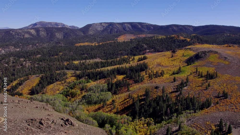 Drone Shot of Fall Colors in a Meadow in Mono County, California - Pull back to reveal stunning fall colors in the Eastern Sierra Drone Shot of Fall Colors in a Meadow in Mono County, California - Pull back to reveal stunning fall colors in the Eastern Sierra