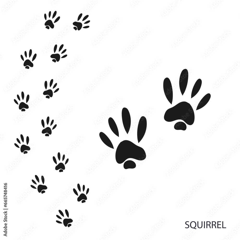 Paw prints, animal tracks, squirrel footprints pattern. Icon and track of footprints. Black silhouette. Vector Paw prints, animal tracks, squirrel footprints pattern. Icon and track of footprints. Black silhouette. Vector