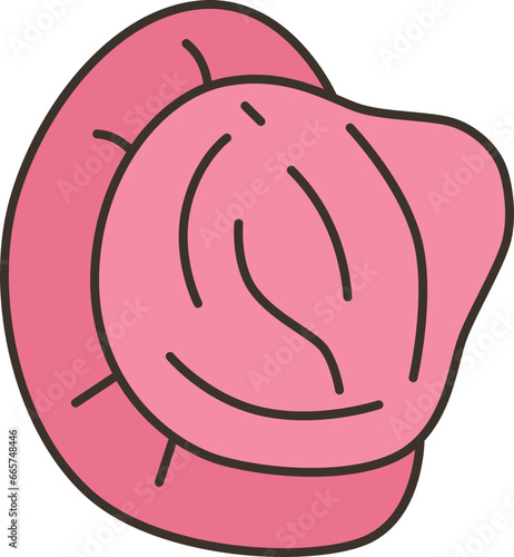 condom  icon