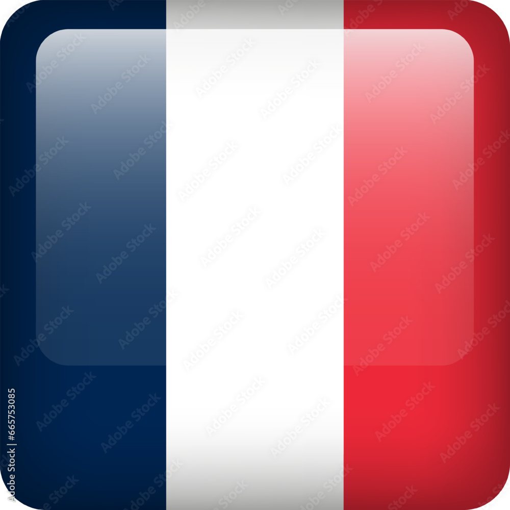 France flag button. Square emblem of France. Vector French flag, symbol. Colors and proportion correctly.