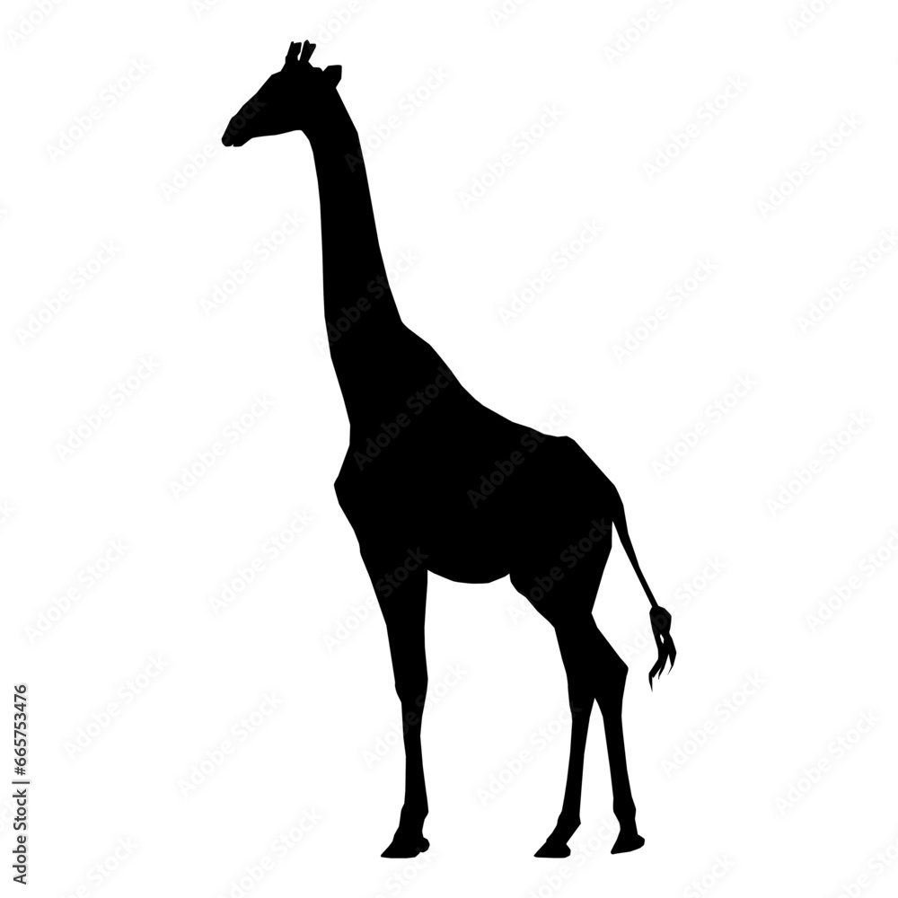 Fototapeta premium giraffe silhouette vector