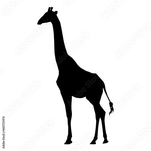 giraffe silhouette vector
