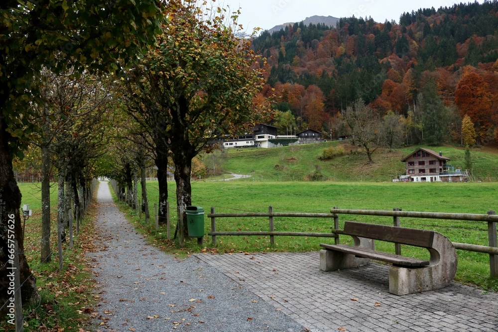 Fototapeta premium landscape
