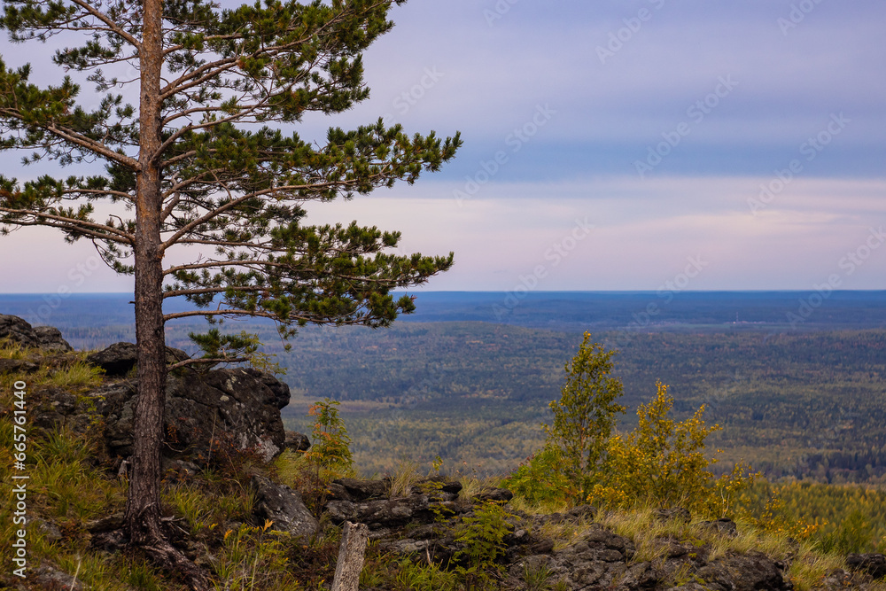 The environs of Baranchinsky. Ural. The environs of Baranchinsky. Ural.