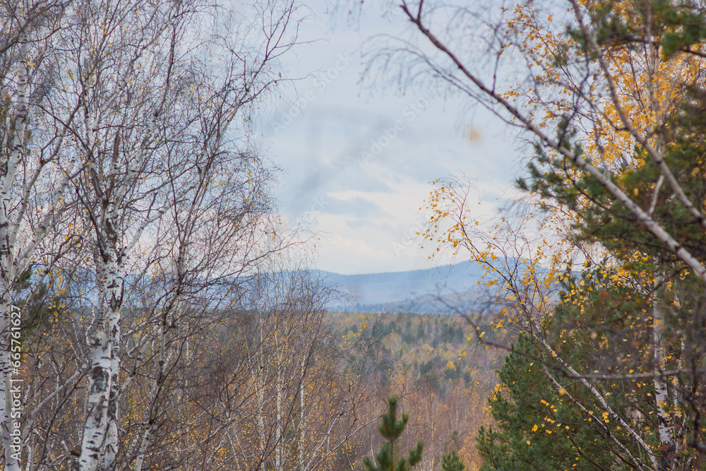 Golden colorful autumn in the vicinity of the village of Baranchinsky, Kushvinsky urban district, September and October 2023. Golden colorful autumn in the vicinity of the village of Baranchinsky, Kushvinsky urban district, September and October 2023.