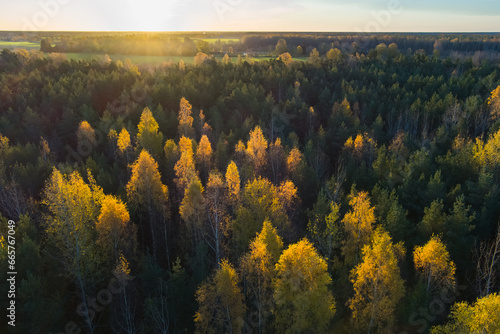 Sunny dawn over the autumn forest, view from a drone.