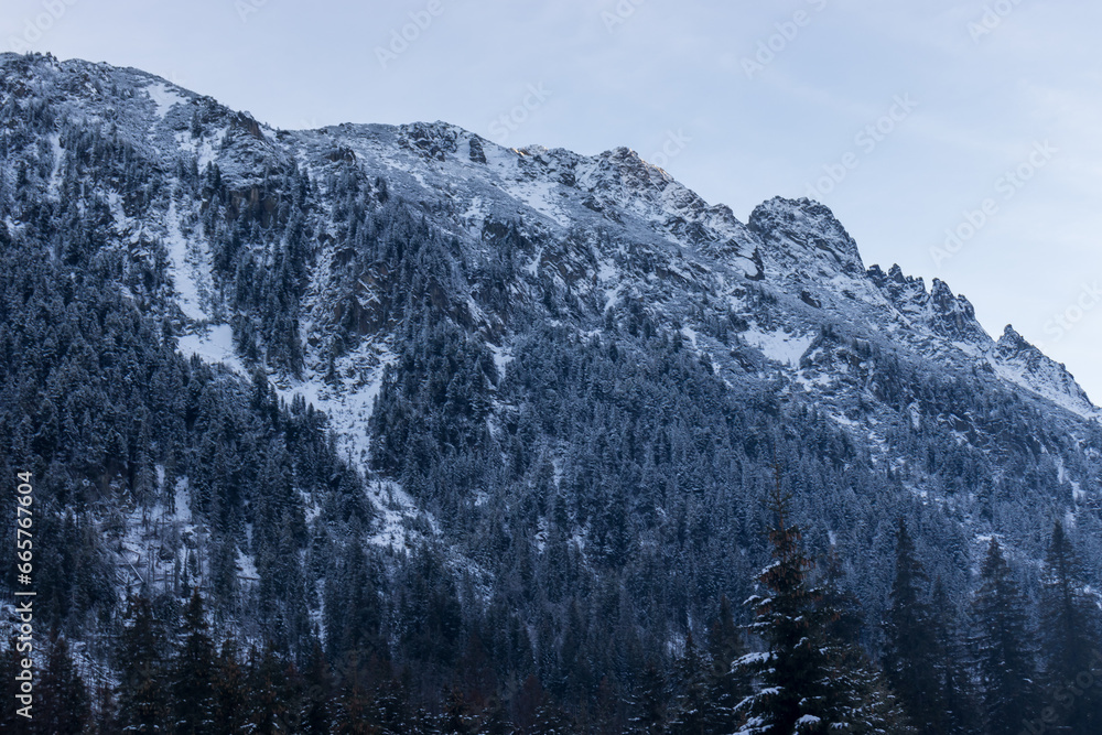  Picturesque snowy mountain landscape with alpine pine and spruce trees.