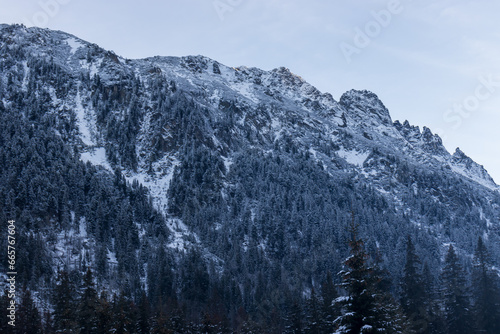  Picturesque snowy mountain landscape with alpine pine and spruce trees.