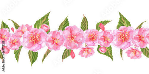 Hand-drawn watercolor illustration. Floral seamless garland with sakura flowers  buds and leaves