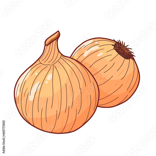 vector illustration onion isolated on white background