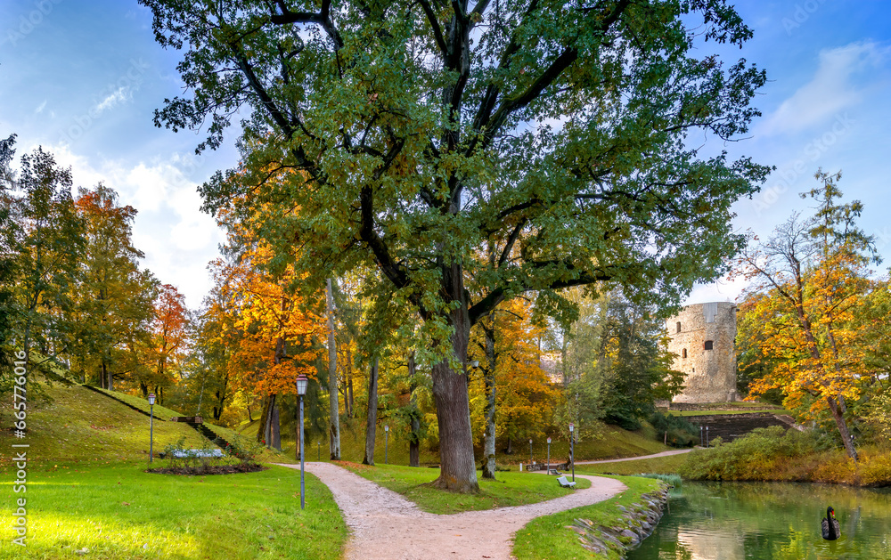 Fototapeta premium Public old garden park in a sunny autumnal day with wooden stairway to the hill