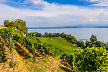 Crédence de cuisine  Vue sur le Lac de Neuchâtel et les vignobles de Bevaix en Suisse  © Gerald Villena