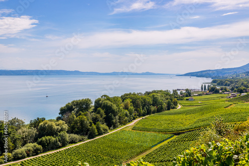 Vue sur le Lac de Neuchâtel et les vignobles de Bevaix en Suisse