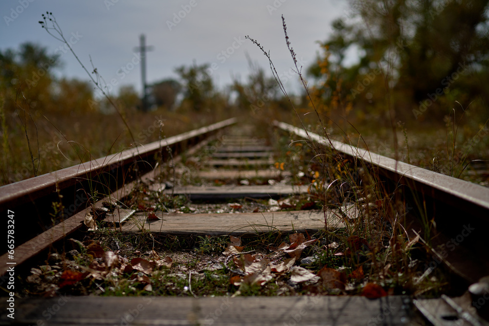 the old railway is overgrown with grass