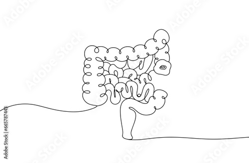  Intestines. Stoma. One line