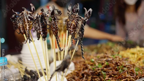 Deep fried insects and scorpions street food vendor in Asian Thailand exotic food. A woman sells bugs in night market at Bangkok Chinatown photo