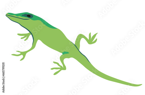 green lizard in vector. wild animal in flat style. Template for poster logo icon for app website. Series of animal images in flat style