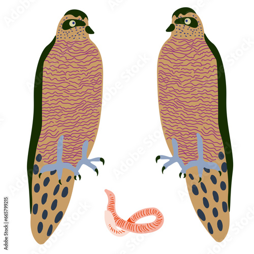 falcons and worm in vector. wild animal in flat style. Template for poster logo icon for app website. Series of animal images in flat style