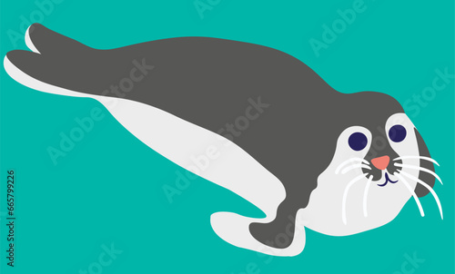 fur seal in vector. wild animal in flat style. Template for poster logo icon for app website. Series of animal images in flat style