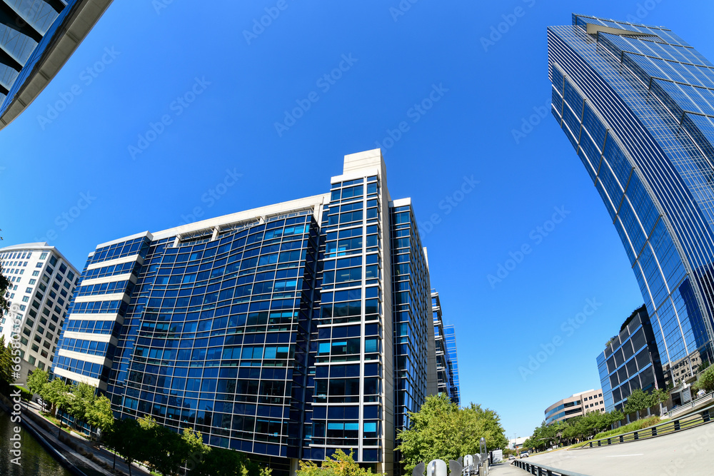 Fototapeta premium The Woodlands, Texas